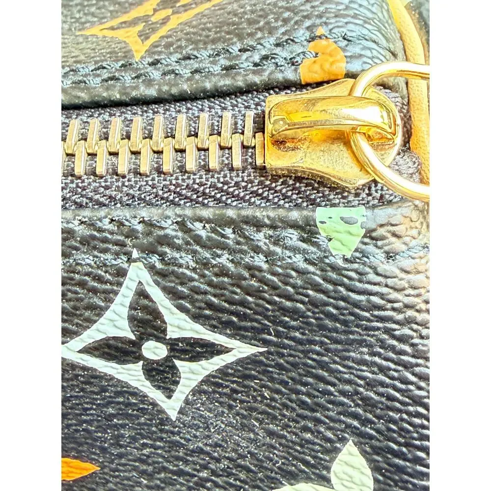 Louis Vuitton color multicolor